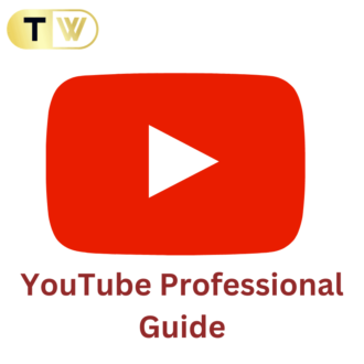YouTube Professional Guide